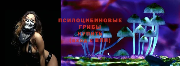ГАЛЛЮЦИНОГЕННЫЕ ГРИБЫ Слюдянка