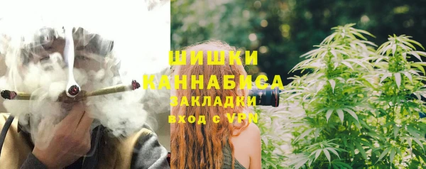 ГАЛЛЮЦИНОГЕННЫЕ ГРИБЫ Слюдянка