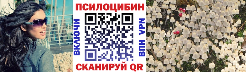Псилоцибиновые грибы прущие грибы  дарк нет наркотические препараты  Новый Оскол 
